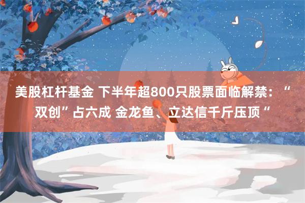 美股杠杆基金 下半年超800只股票面临解禁：“双创”占六成 金龙鱼、立达信千斤压顶“