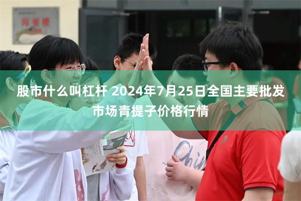 股市什么叫杠杆 2024年7月25日全国主要批发市场青提子价格行情