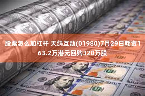 股票怎么加杠杆 天鸽互动(01980)7月29日耗资163.2万港元回购320万股