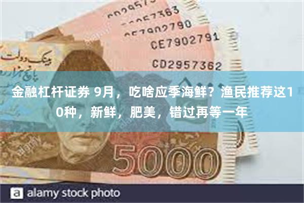 金融杠杆证券 9月，吃啥应季海鲜？渔民推荐这10种，新鲜，肥美，错过再等一年