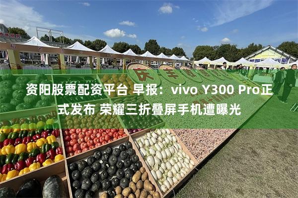 资阳股票配资平台 早报：vivo Y300 Pro正式发布 荣耀三折叠屏手机遭曝光