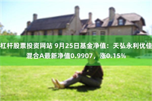 杠杆股票投资网站 9月25日基金净值：天弘永利优佳混合A最新净值0.9907，涨0.15%