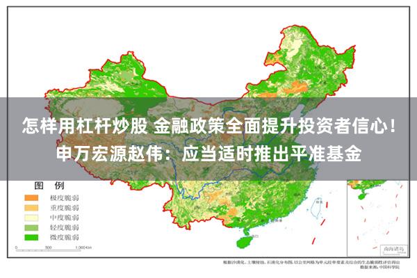 怎样用杠杆炒股 金融政策全面提升投资者信心！申万宏源赵伟：应当适时推出平准基金