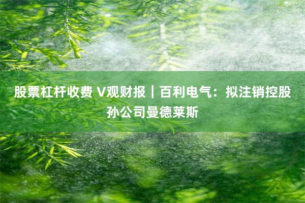 股票杠杆收费 V观财报｜百利电气：拟注销控股孙公司曼德莱斯