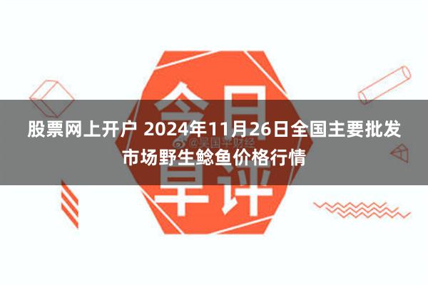 股票网上开户 2024年11月26日全国主要批发市场野生鲶鱼价格行情