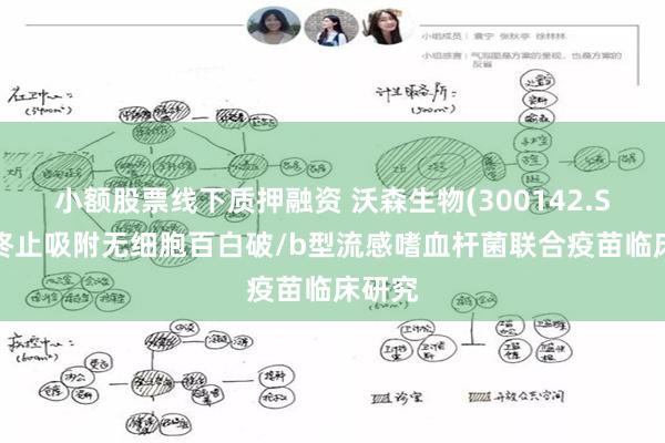 小额股票线下质押融资 沃森生物(300142.SZ)：终止吸附无细胞百白破/b型流感嗜血杆菌联合疫苗临床研究