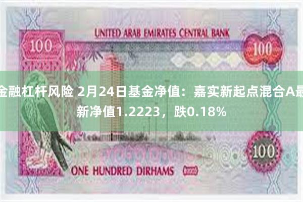 金融杠杆风险 2月24日基金净值：嘉实新起点混合A最新净值1.2223，跌0.18%