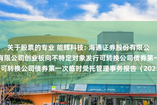 关于股票的专业 能辉科技: 海通证券股份有限公司关于上海能辉科技股份有限公司创业板向不特定对象发行可转换公司债券第一次临时受托管理事务报告（2025年度）